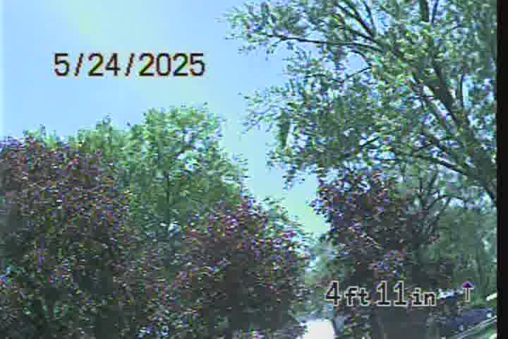 Frame